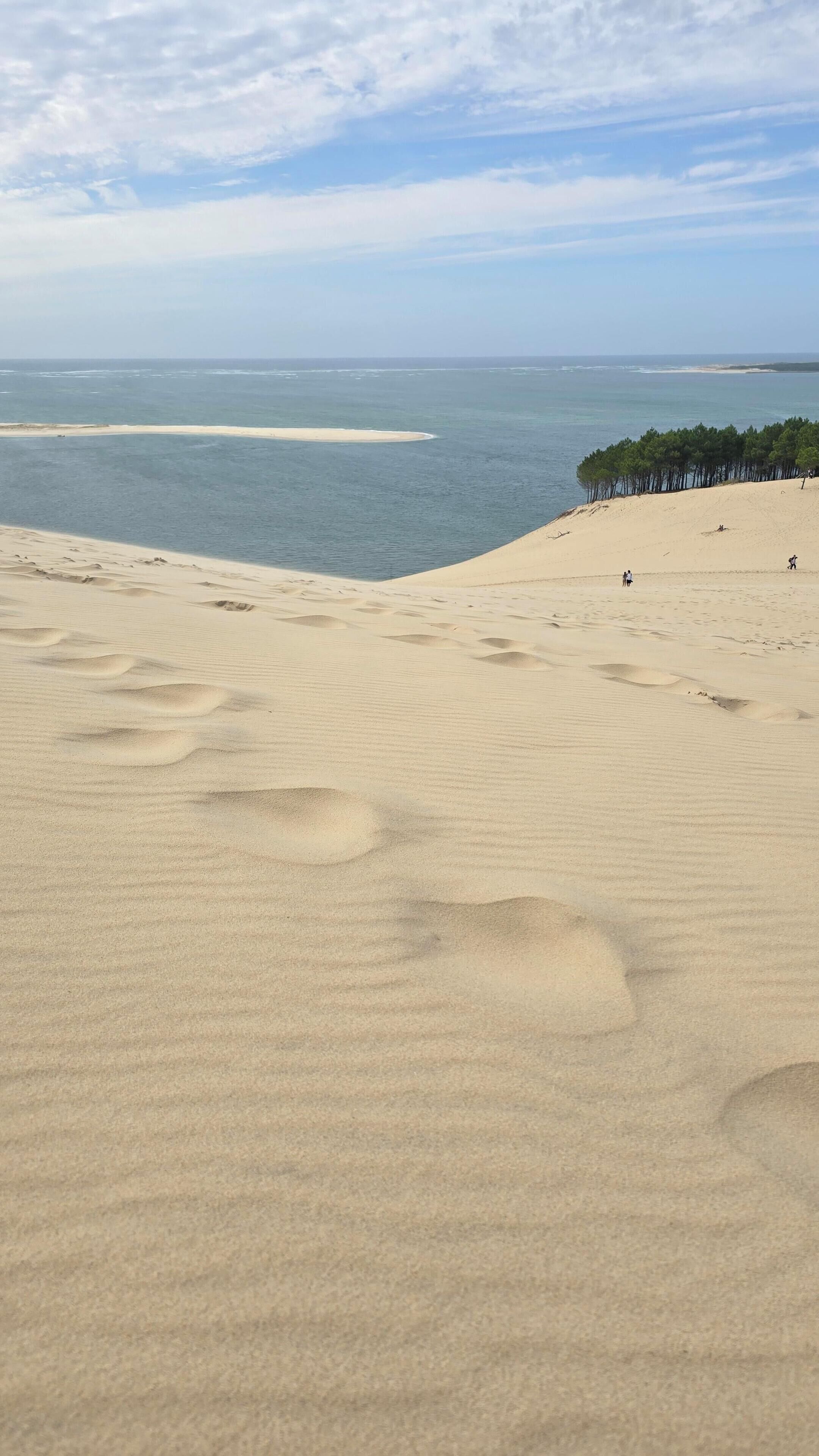 بالقرب من الشاطئ