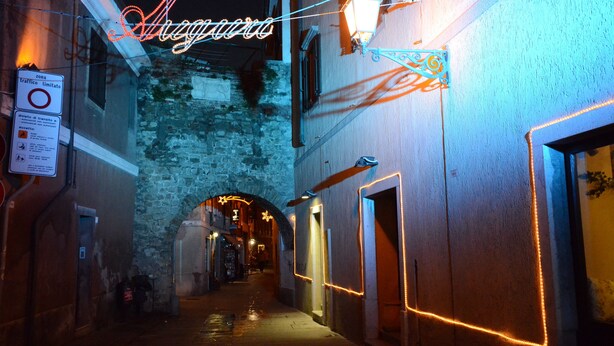 Unclassified image, 1 of 12, button - hotel dulcinea (Muggia)