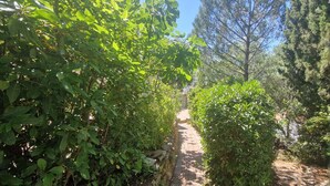 A narrow pathway flanked by dense foliage and trees, leading to a structure in the distance. - Apartment with garden in Sainte-Maxime (Sainte-Maxime)