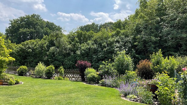 Un jardin bien entretenu, agrémenté de diverses plantes et entouré d’une clôture en bois.