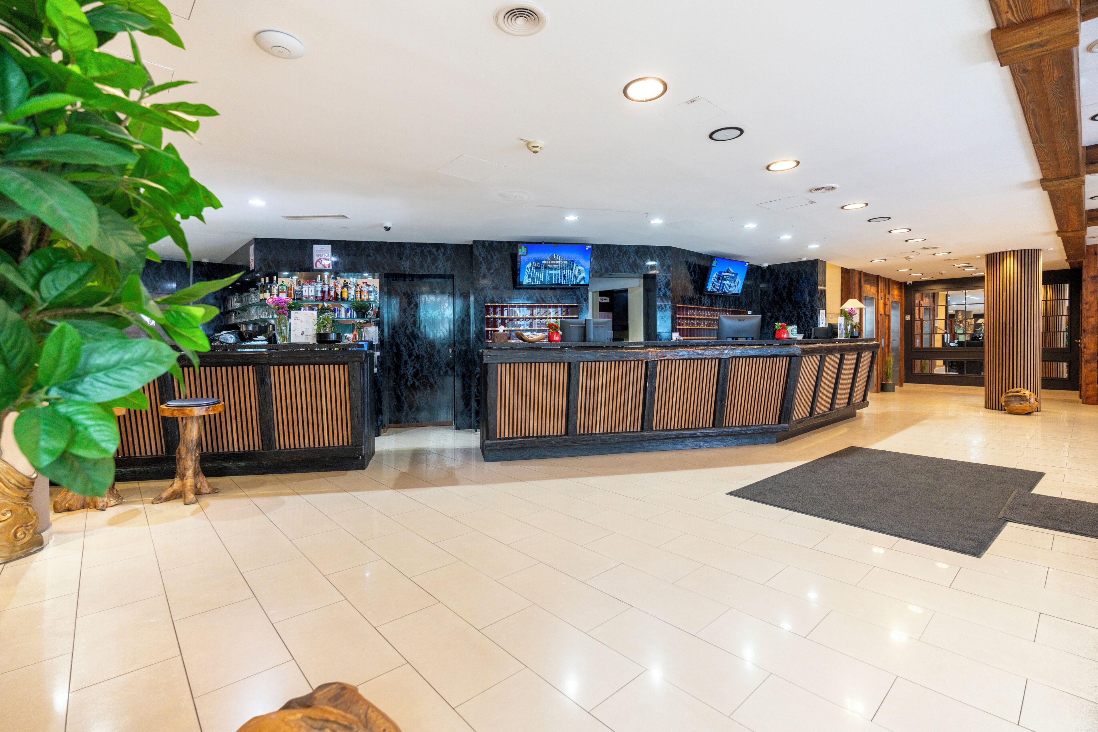 A reception area with a counter, a television, and a plant.