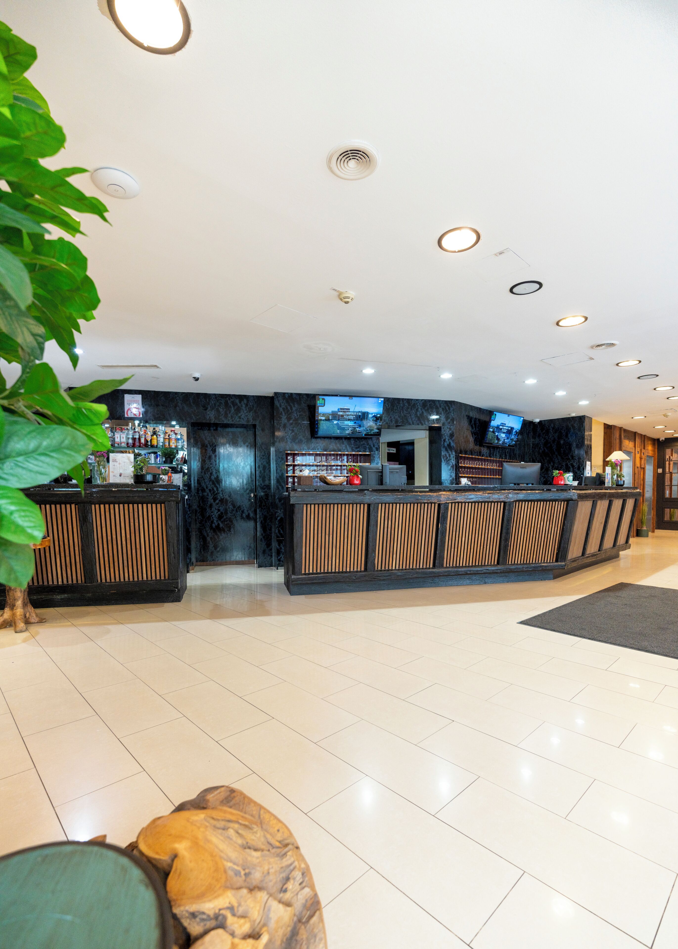 A reception area with a counter, a television, and a plant.