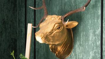 A mounted deer head with antlers on a wall.