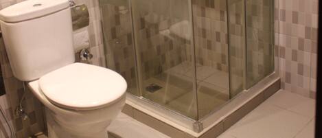 Une salle de bain avec une douche à parois de verre, des toilettes et des murs carrelés.