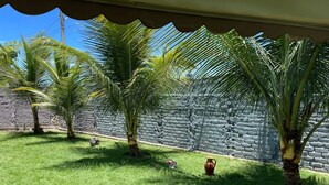 Ein Innenhof mit Palmen, einer Ziegelwand und einem kleinen, roten Topf im Gras.