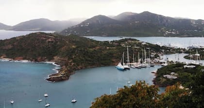 Island gem. Close to beach and downtown