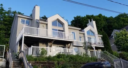 Apartment on the slopes of Mt Sutton Ski in, ski out, Mountain biking and Hiking