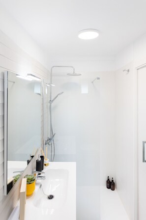 Shower, hair dryer, towels