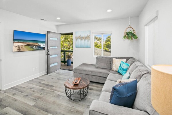 TV - Large 1BR with fast WiFi - Pets welcome (San Diego)