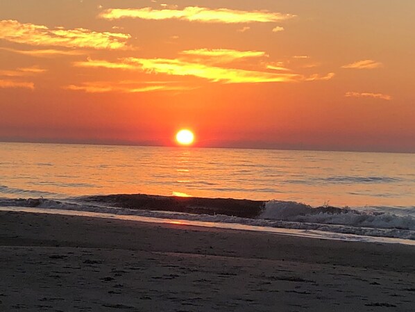 On the beach - Oceanfront Bliss at Wild Dunes Resort, Isle Of Palms! (Isle of Palms)
