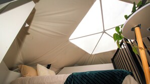 Rom