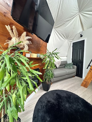 Älytelevisio, takka