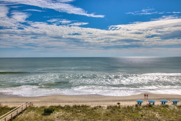 بالقرب من الشاطئ