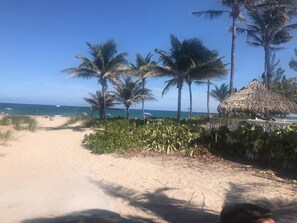 Beach - Secluded Beach Adventure Cabana - Newly Renovated! (Pompano Beach)