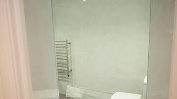 Une salle de bain moderne avec une douche à parois de verre, des toilettes et une poubelle.