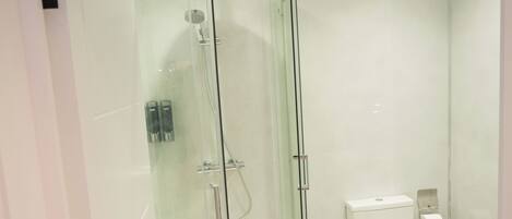 A modern bathroom with a glass-enclosed shower, a toilet, and a sink.