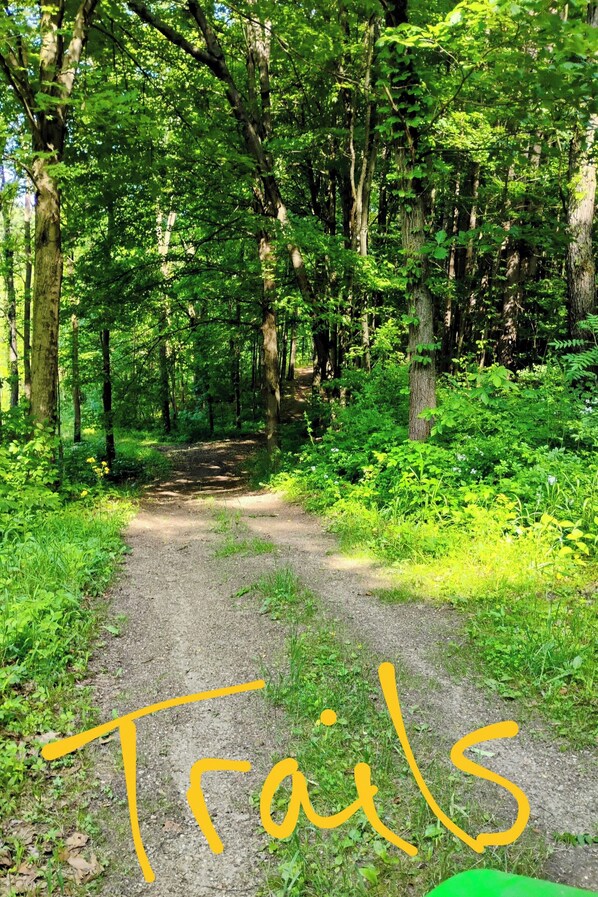 A forested trail with a dirt path surrounded by lush greenery and trees. - Lost Nations Cowboy Town Riverside Cabin (Pittsford)
