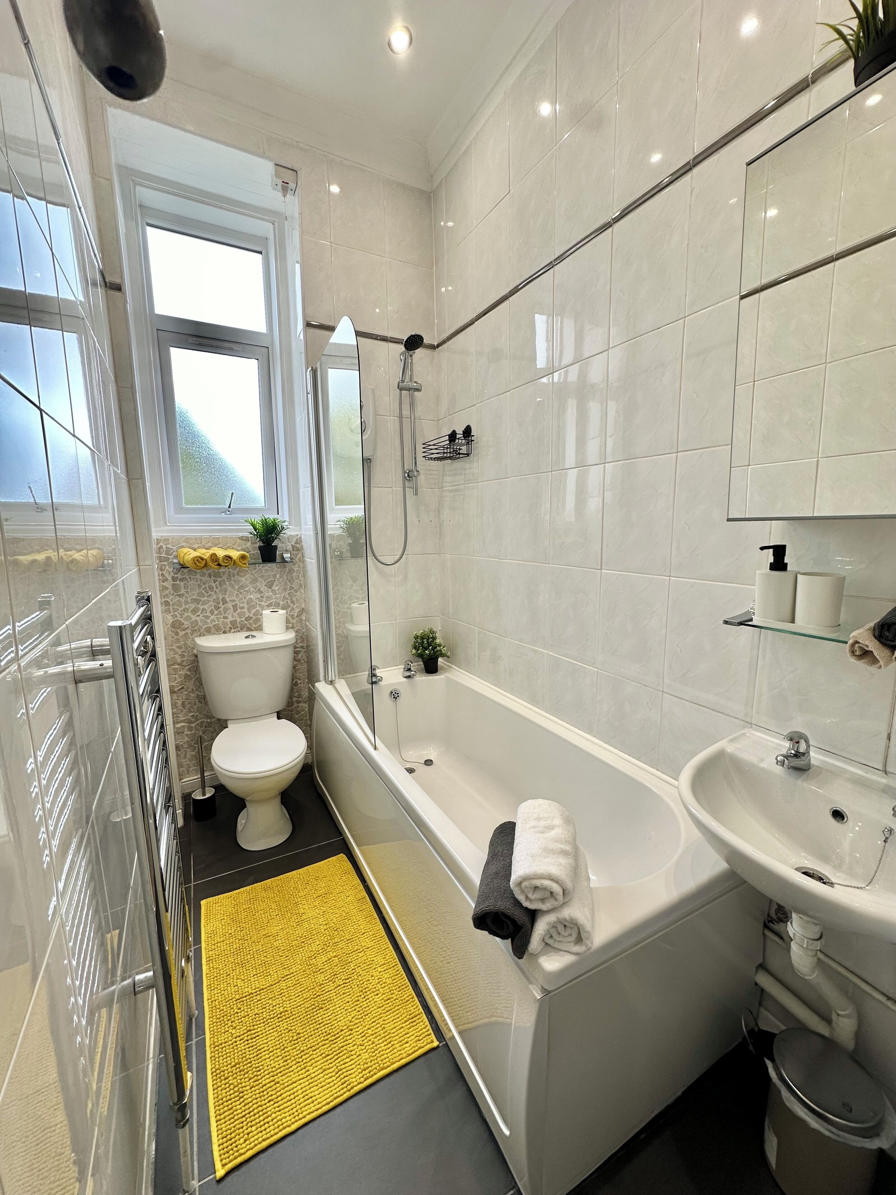 Hair dryer, towels, soap, toilet paper