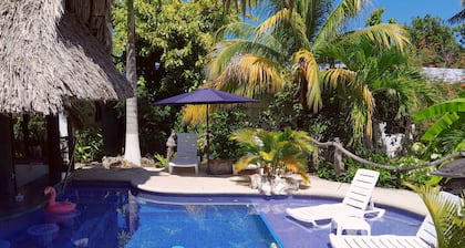 GECKO "LOFT" BUNGALOW Boutique Resort, Awesome Pool! FREE Int'l Airport Shuttle