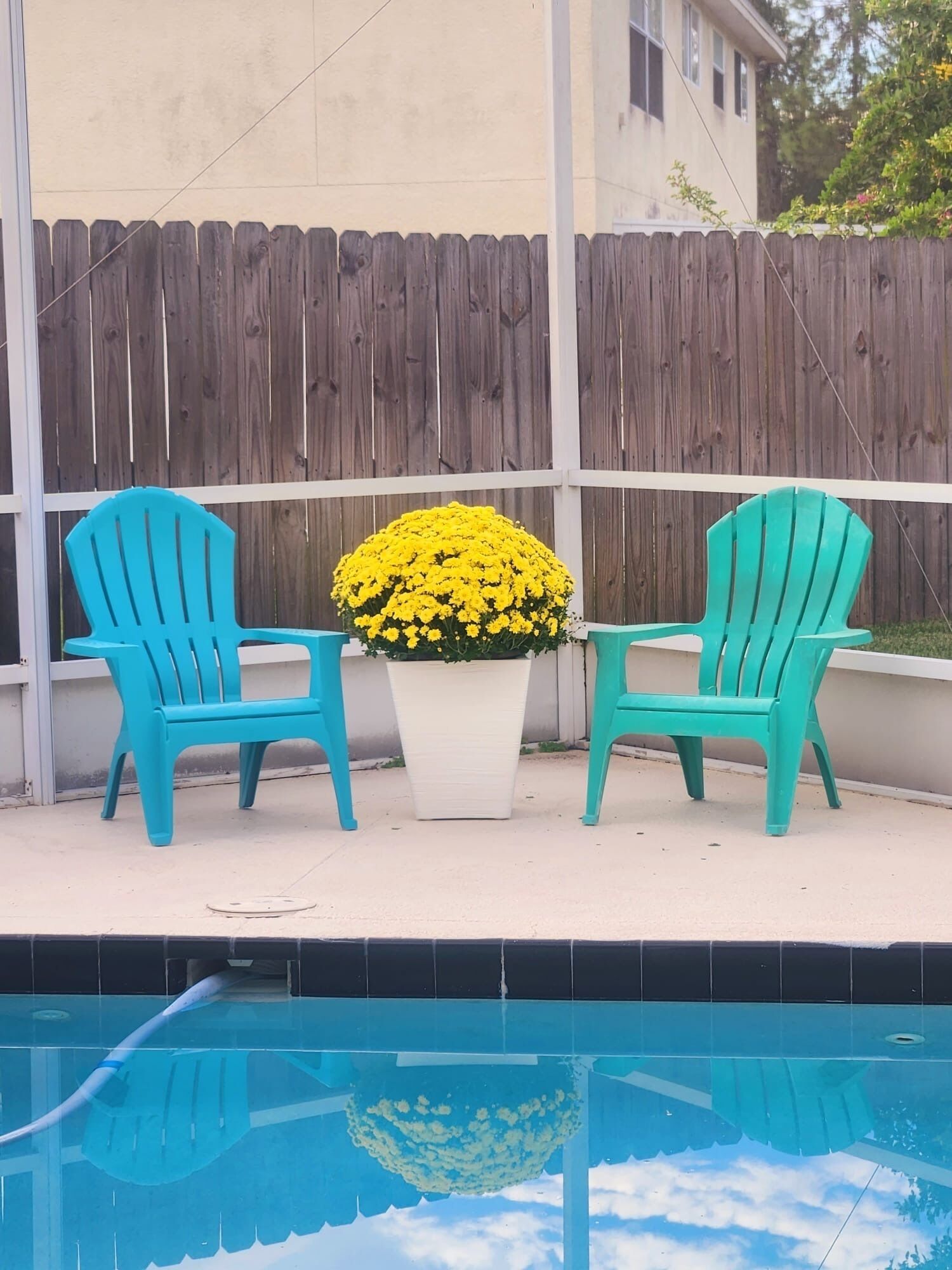 Two turquoise chairs and a white planter with yellow flowers by a poolside.