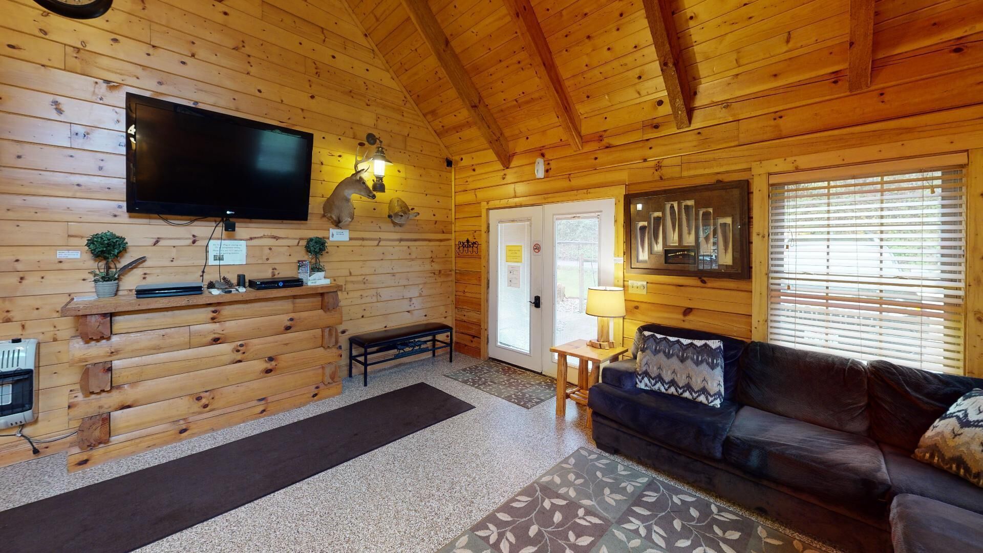 电视、DVD 播放器