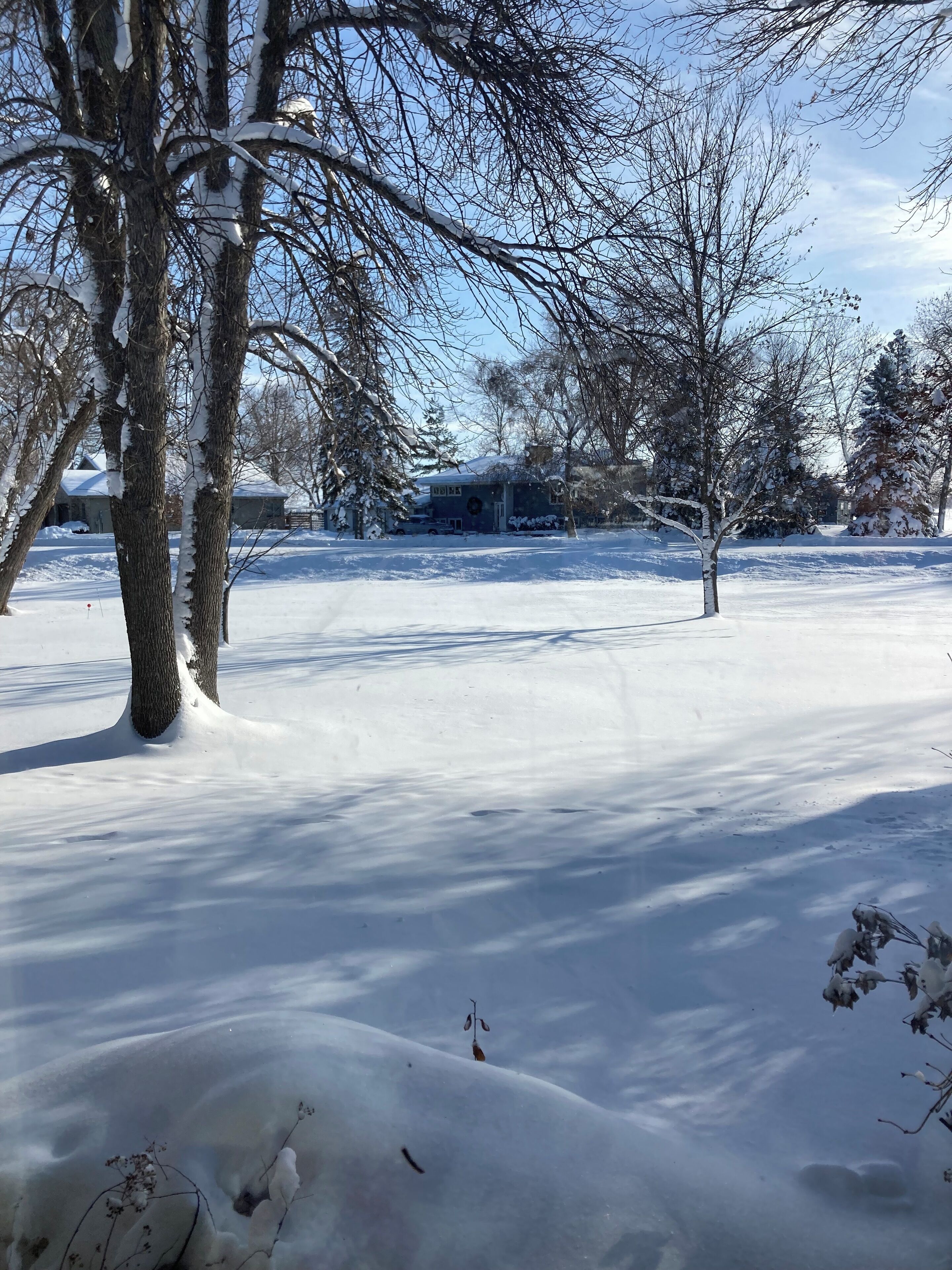 A snow-covered landscape with bare trees and a distant building.