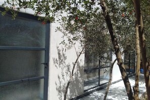 Detalle del exterior