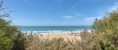 Playa