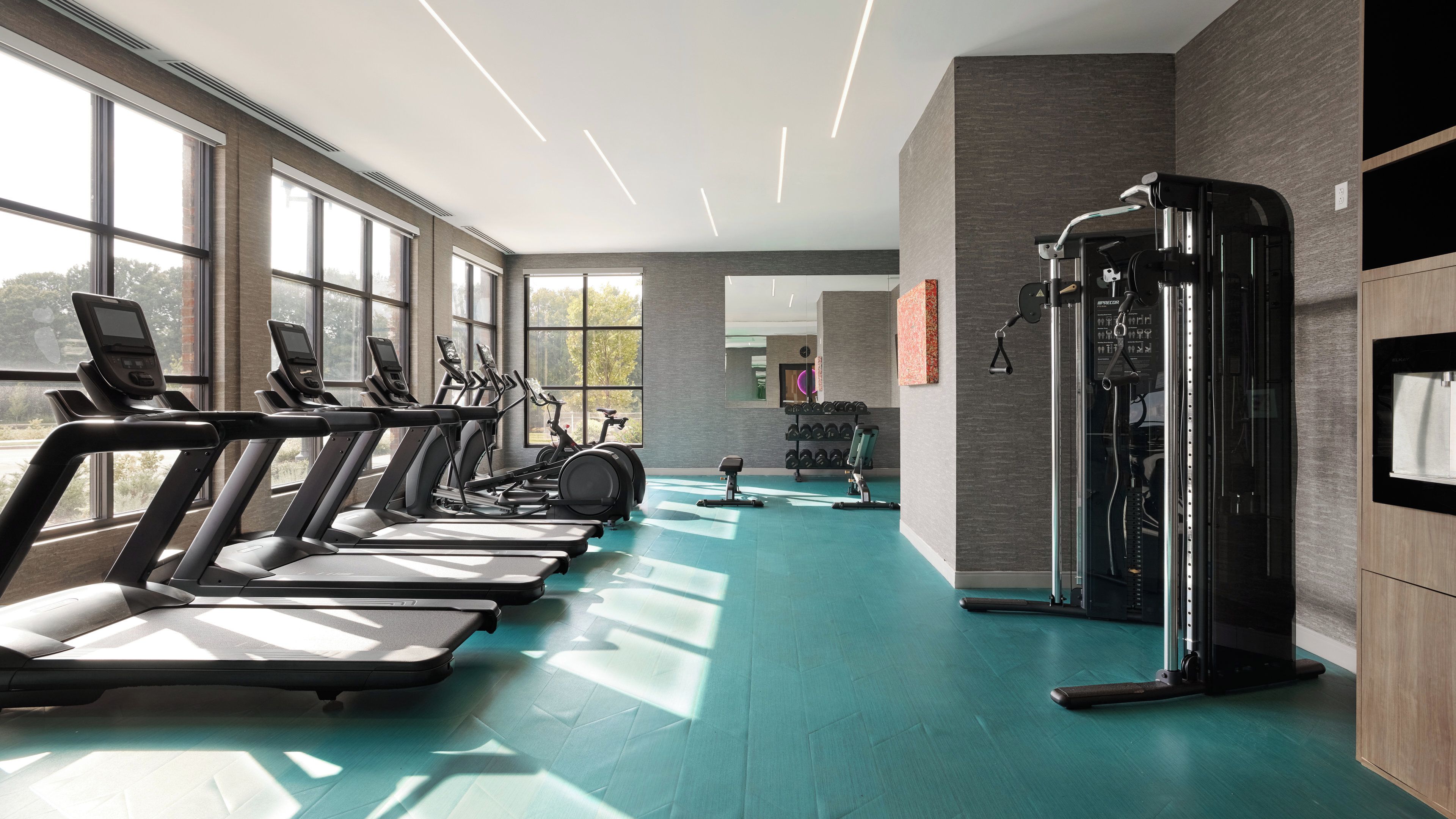 A gym with treadmills, dumbbells, and weight machines.