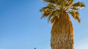 A single-story house with a front porch, a palm tree, and a clear sky. - Retro Retreat - A Desert Oasis (Twentynine Palms)