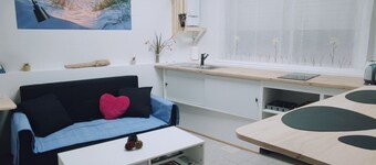 HOME SPIRIT PRIVATE APARTMENT & CAMINO SANTIAGO PORTUGUÉS 
FRIENDLY PETS. 