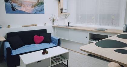 HOME SPIRIT PRIVATE APARTMENT & CAMINO SANTIAGO PORTUGUÉS
FRIENDLY PETS.