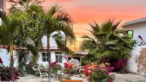 An outdoor patio with a wooden table and chairs, surrounded by lush greenery and flowering plants. - Room #3 two blocks from the Malecon (La Paz)
