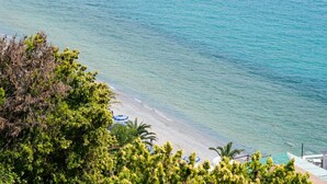 Une plage avec une eau d’un bleu limpide, un rivage sablonneux et quelques plantes vertes au premier plan.