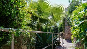 Un escalier entouré d’une végétation luxuriante et bordé d’un mur de pierre.