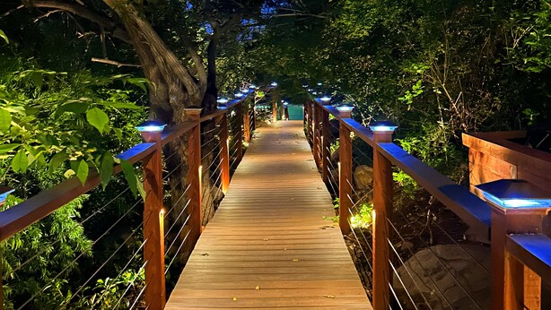A wooden bridge with railings and lights, surrounded by dense foliage.