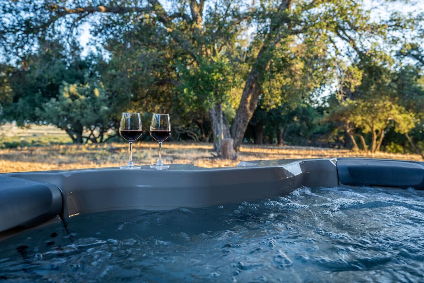 Ein Whirlpool mit zwei Weingläsern am Rand, umgeben von Bäumen.