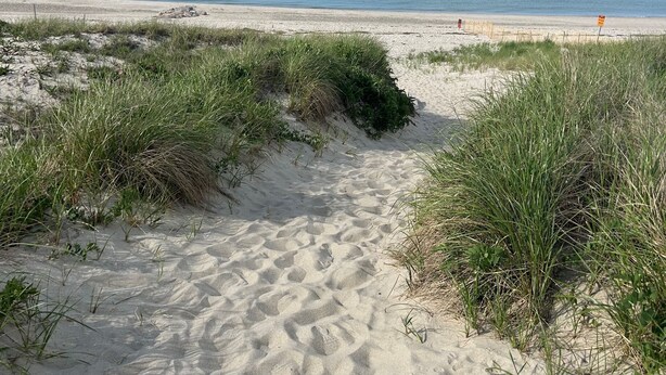 A sandy beach path leading to the ocean, surrounded by grass and dunes.
