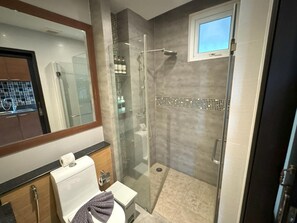 Enjoy a refreshing shower in the bathroom, featuring a glass-enclosed shower with a handheld showerhead and a toilet, sink, and mirror.