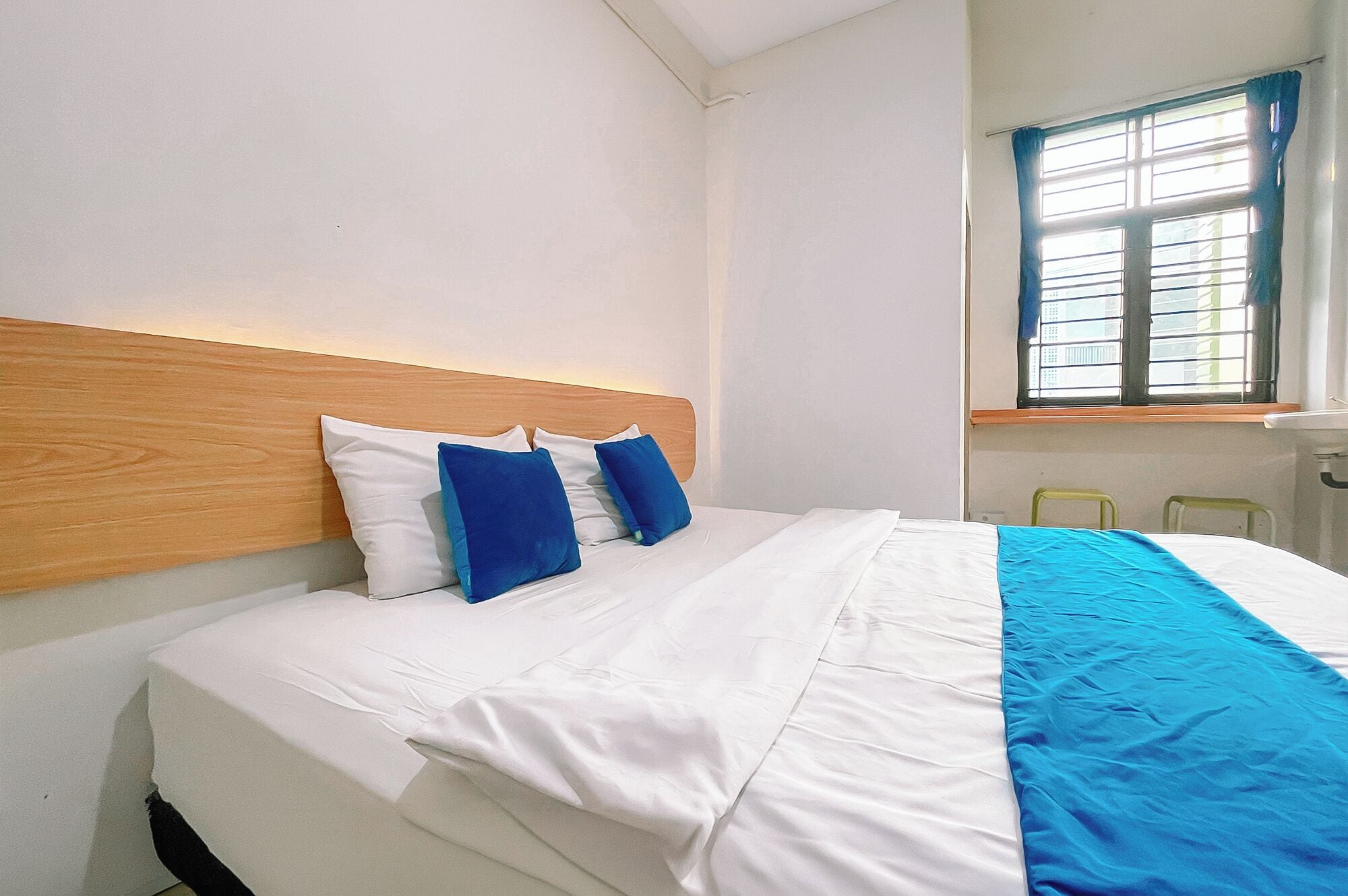 Photo - Staigo at SG Premium