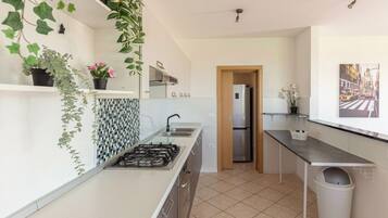 Fridge, oven, stovetop, dishwasher