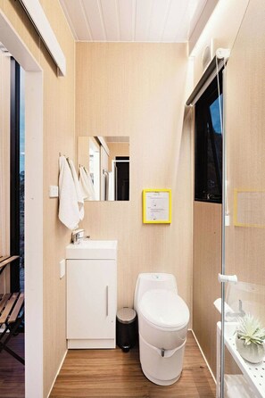 Een kleine badkamer met een witte wastafel, toilet en prullenbak, houten vloer en een kleine plant in een potje op een plankje.