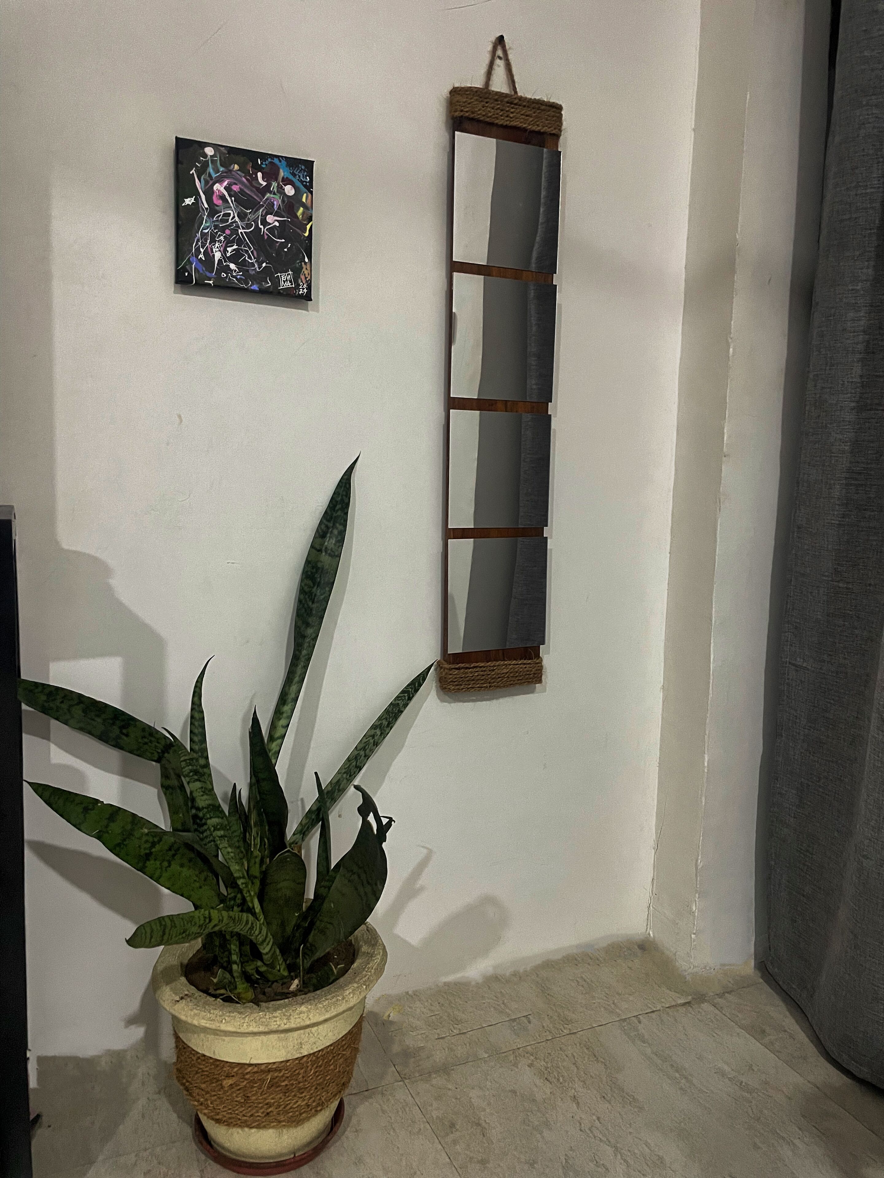 A potted plant, a framed mirror, and a piece of abstract art on a white wall.