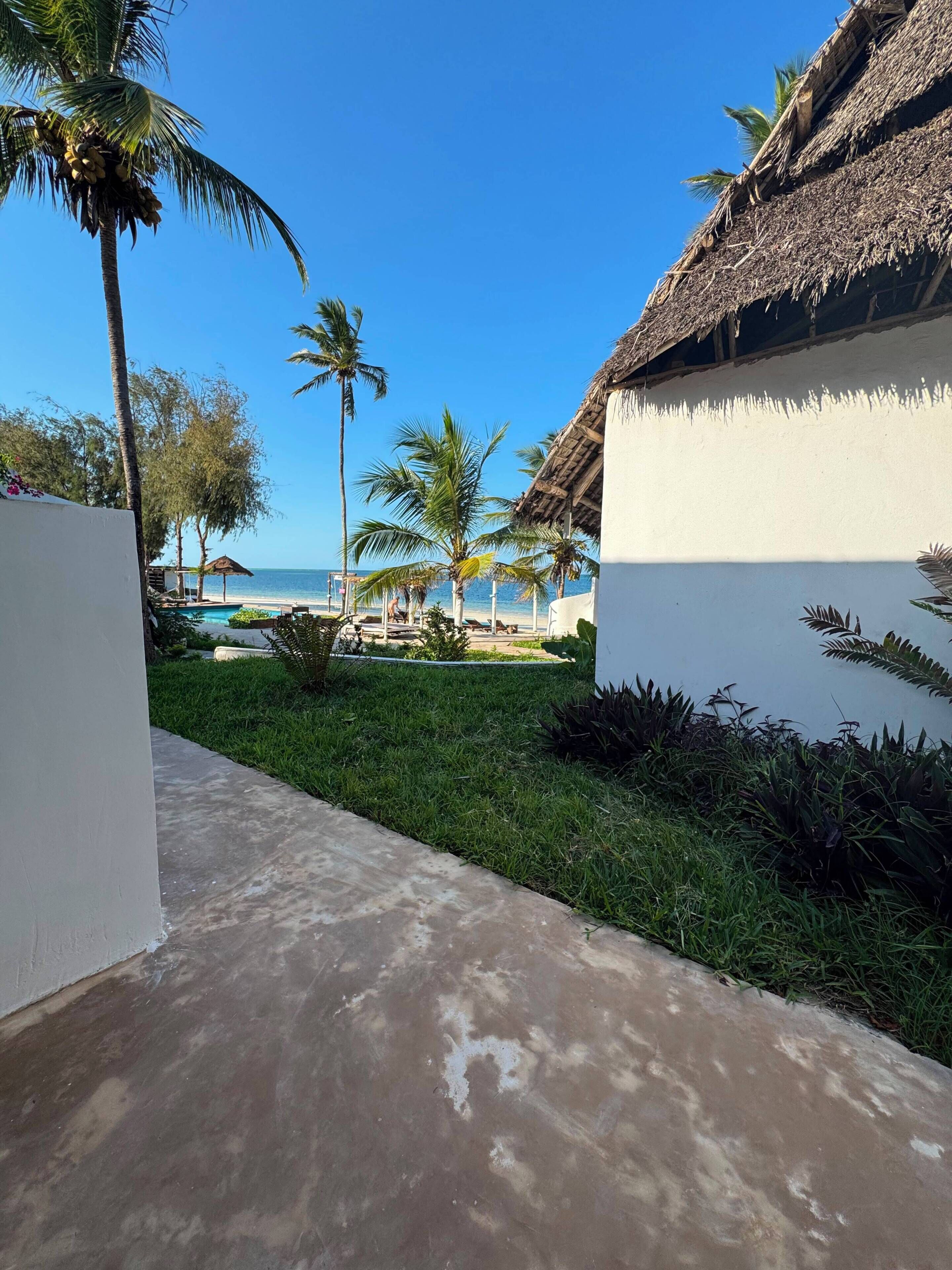 Un complexe hôtelier doté d’une piscine, de palmiers et offrant une vue sur la plage.