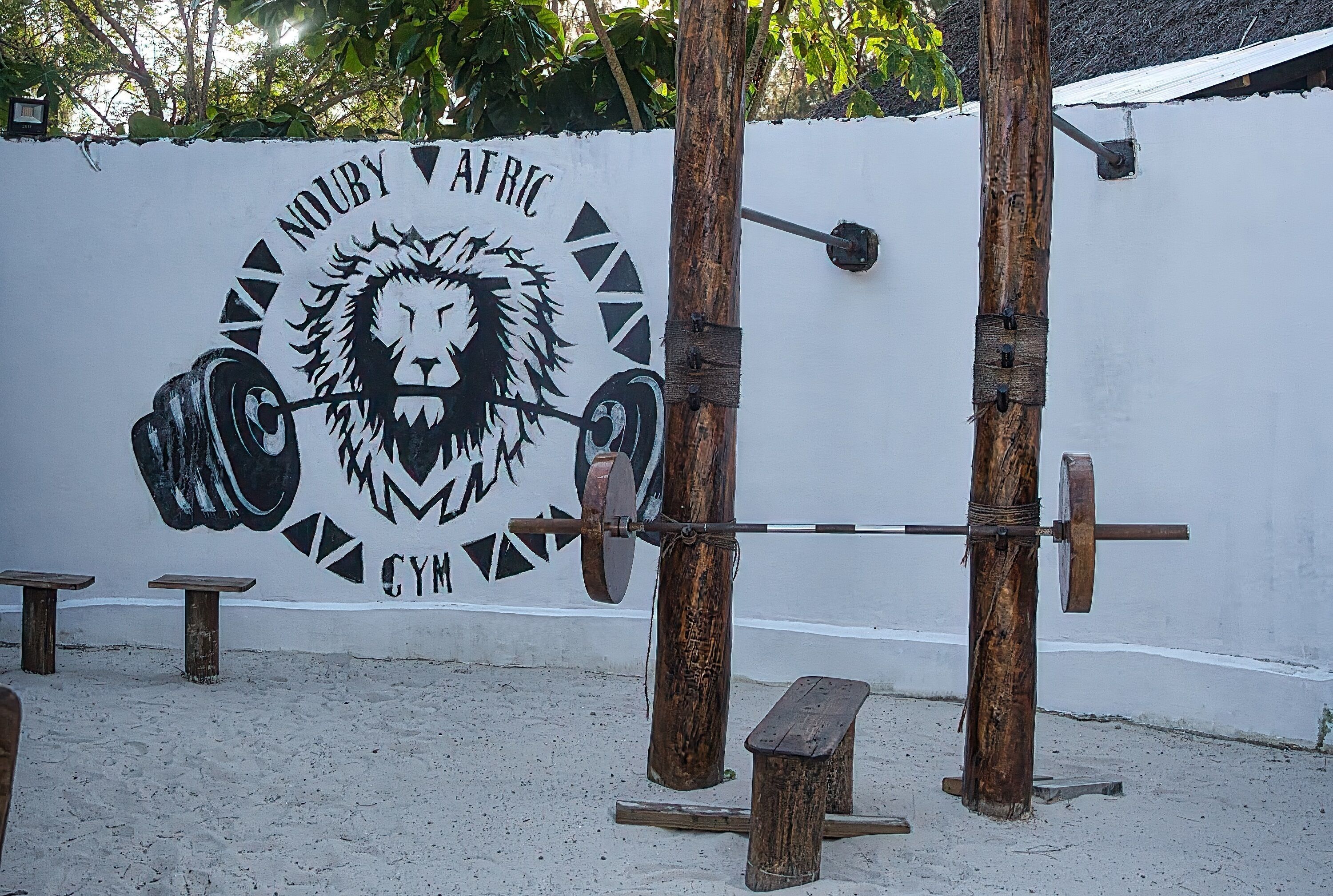 A gym with a lion mural, wooden benches, and a barbell.