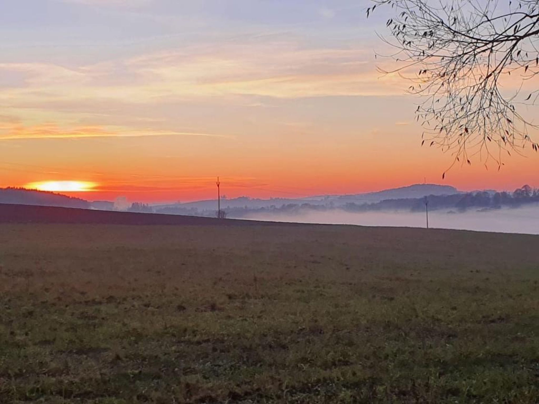 Eine flache Landschaft mit klarem Horizont, einem einzelnen Strommast und einem Ast im Vordergrund.