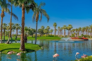 Photo non classée, 2 sur 38, bouton