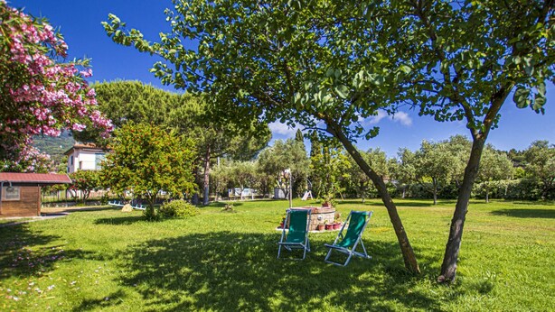 Een groen gazon met twee groene ligstoelen onder een boom, een klein bakstenen gebouw en een speeltuin op de achtergrond.