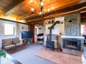 TV, fireplace - Vacation home Hoja by Interhome (Vítkovice)