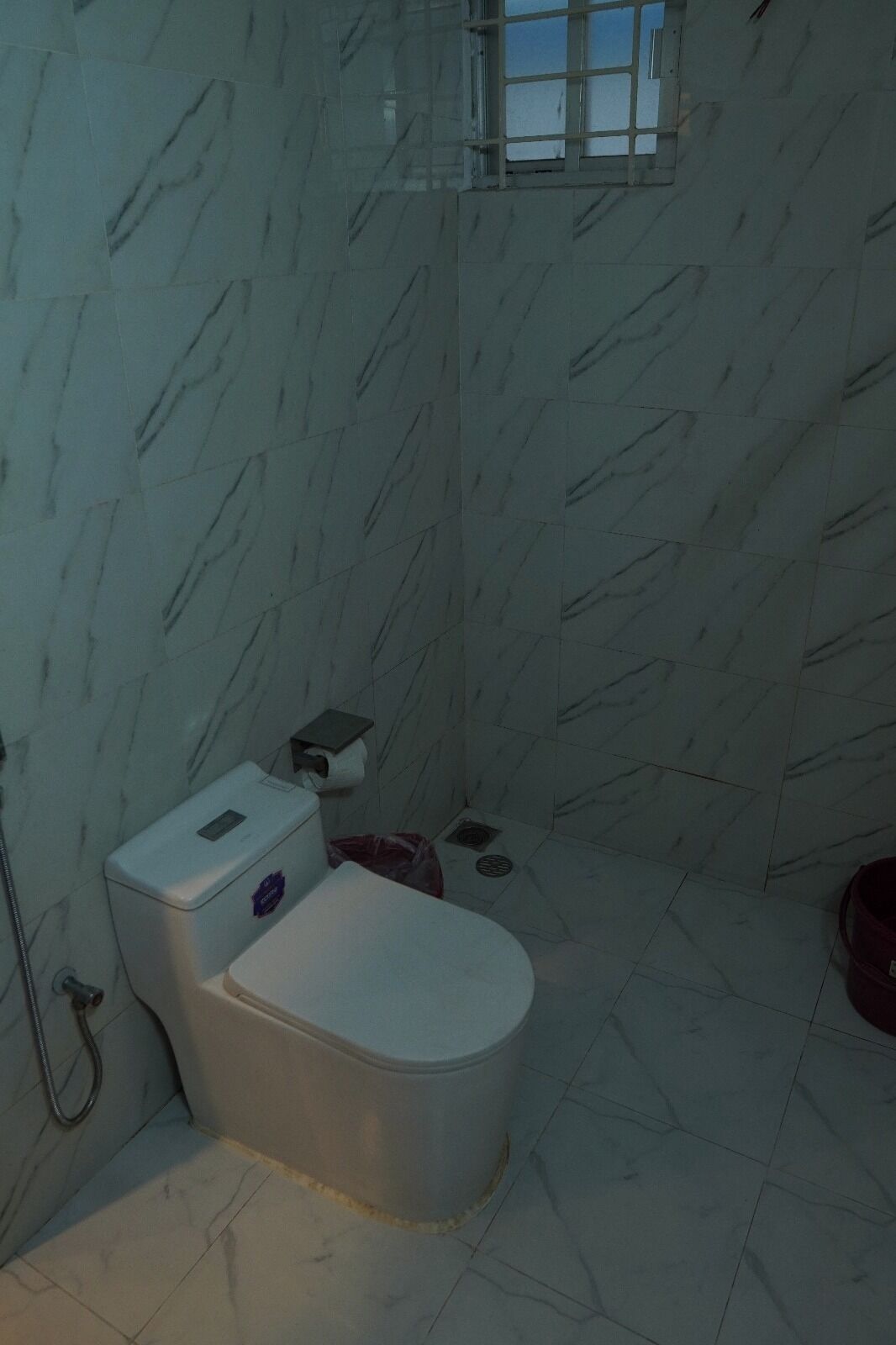 A bathroom with a toilet, a shower, and a window.